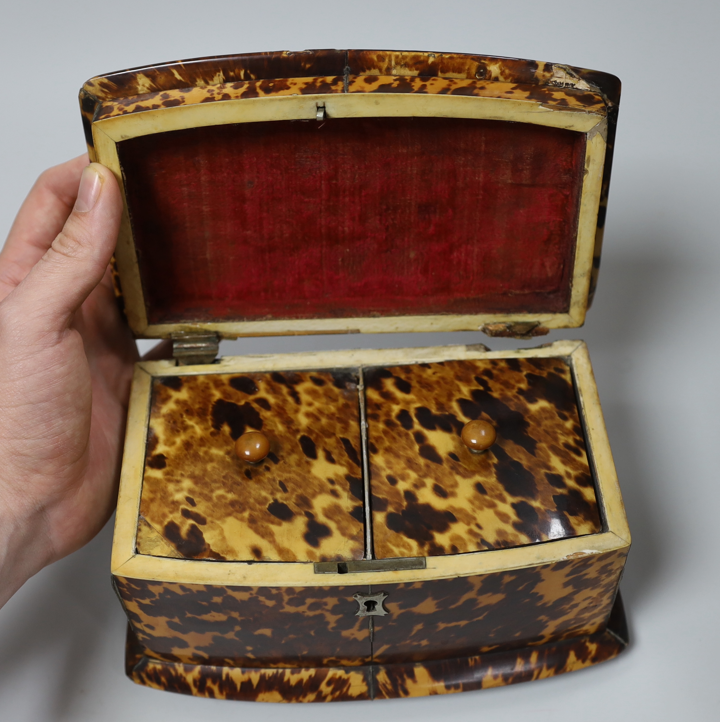 A Regency tortoiseshell sarcophagus tea caddy CITES Submission reference 94J2SECR